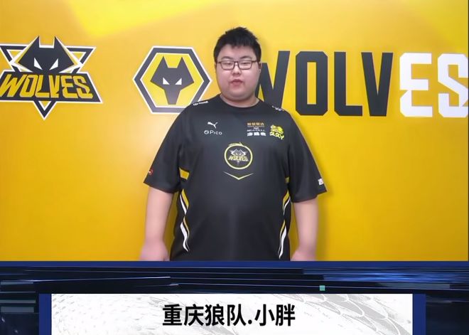 老鹰的 老鹰的